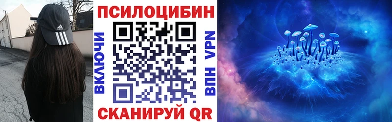 Псилоцибиновые грибы Psilocybe  дарк нет официальный сайт  Бабаево  цены   mega рабочий сайт 